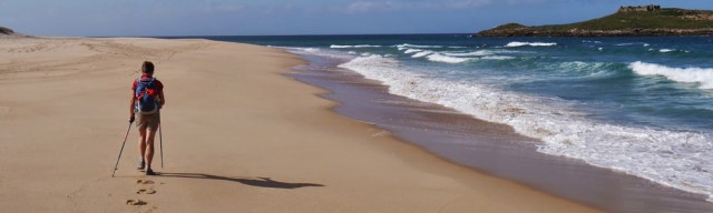 johnhayeswalkscropped