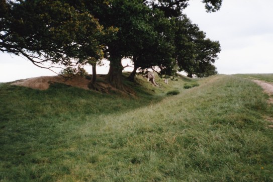 Offas Dyke 3